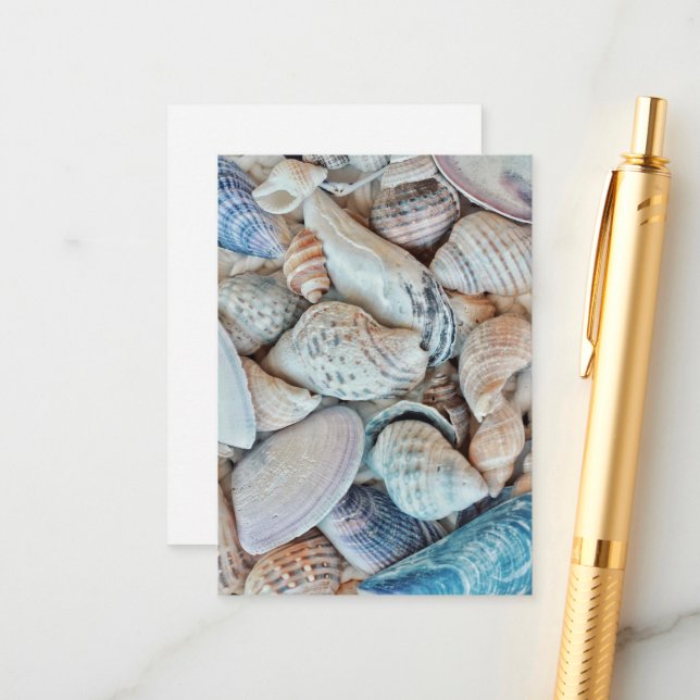 Funky Sea Shells Holiday Seaside Enclosure Card (Front/Back In Situ)