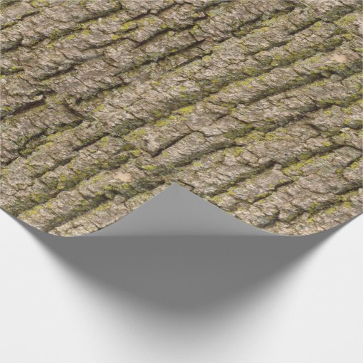 Funky Tree Bark Wrapping Paper Zazzle