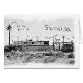 Funky Vacation - Salton Sea (Front Horizontal)