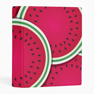 Funky watermelon slices mini binder