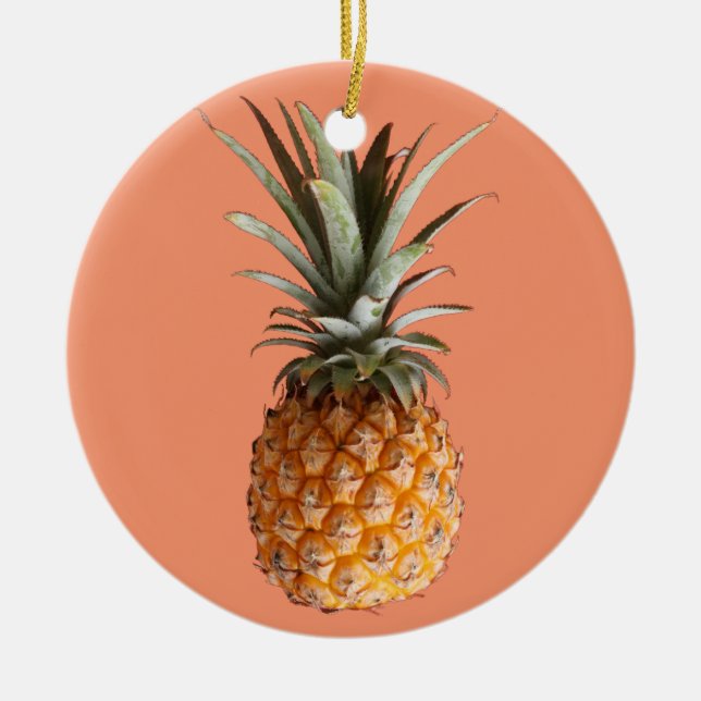 Funky Yummy Pineapple Circle Ornament (Front)