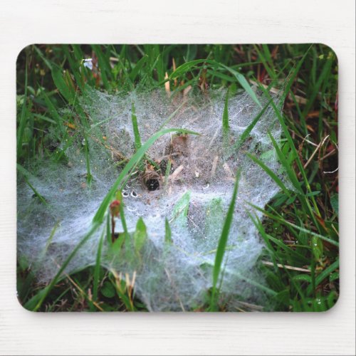 Funnel Web Weaver Spiders Web mousepad