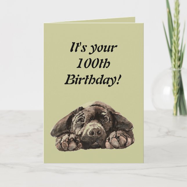 Funny 100th Birthday Customize Labrador Retriever Card (Front)