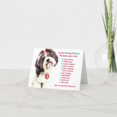 Funny 12 Days of Christmas Dogmas  Holiday Card