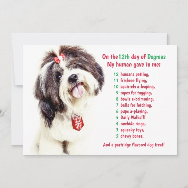 Funny 12 Days of Christmas Dogmas  Holiday Card (Front)