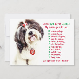 Funny 12 Days of Christmas Dogmas Holiday Card