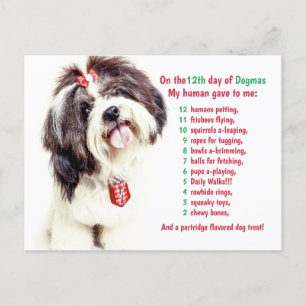Funny 12 Days of Christmas Dogmas Holiday Postcard