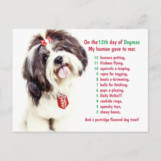 Funny 12 Days of Christmas Dogmas  Holiday Postcard (Front)