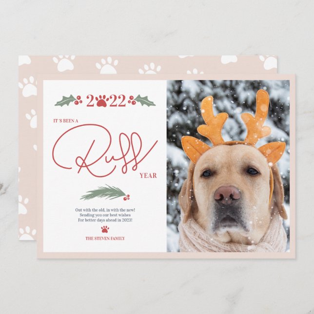 Funny 2022 ruff script year pet Christmas photo Holiday Card (Front/Back)