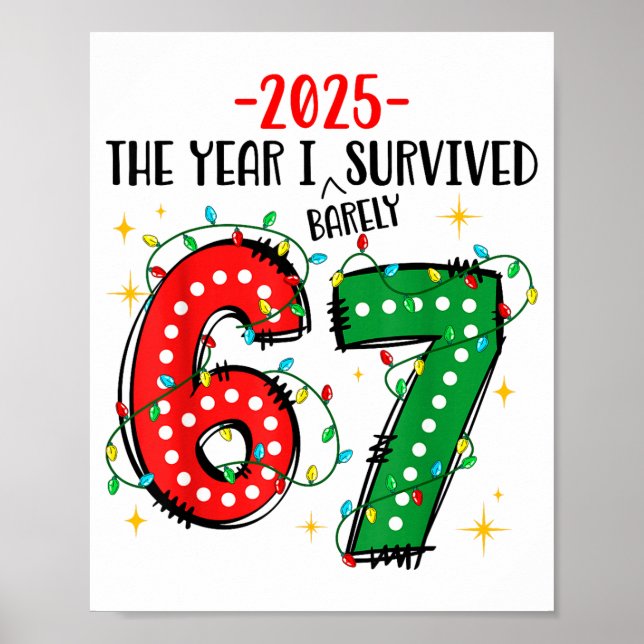 Funny 2025 The Year I Survived Barely 67 Christmas Poster (Front)