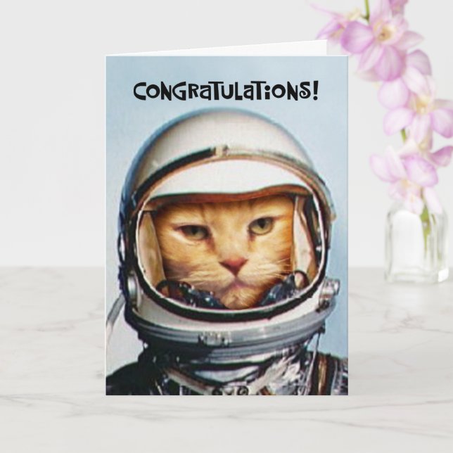 Funny 20th Anniversary Card | Zazzle