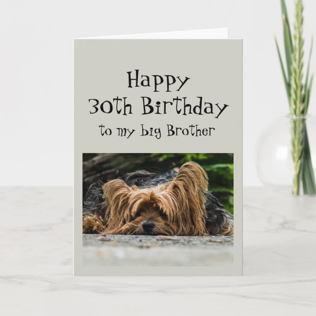 Funny 30th Birthday Big Brother Cute Dog Animal Card (Front)
