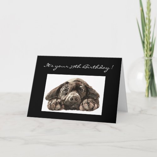 Funny 39th Birthday Labrador Retriever Card