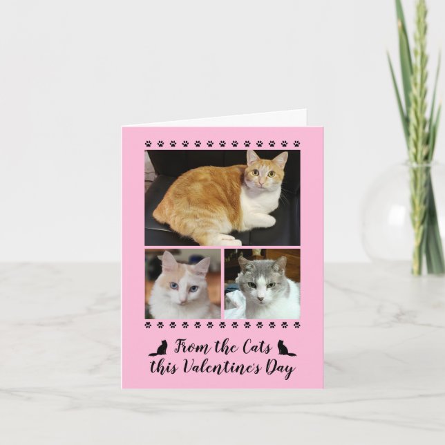 Funny 3 Photo From Cat Paw Print Valentines Pink Holiday Card (Front)