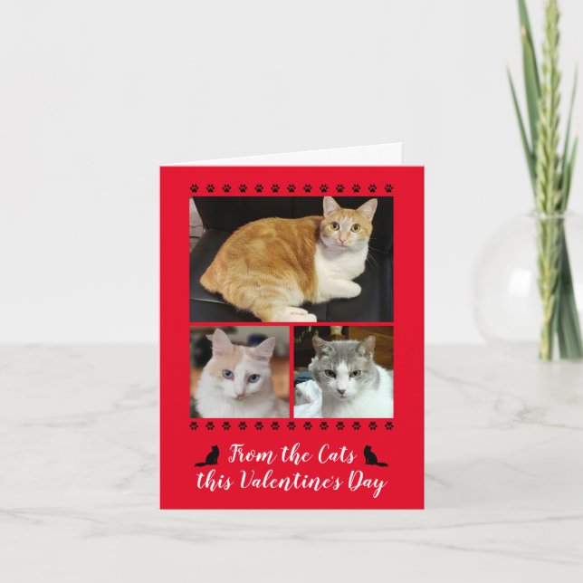 Funny 3 Photo From Cat Paw Print Valentines Red Holiday Card (Front)