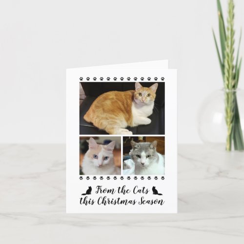 Funny 3 Photo Script From Cat Dog Pet Christmas Holiday Card