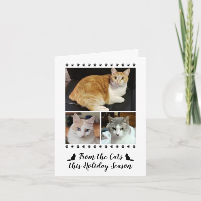 Funny 3 Photo Script From Cat Dog Pet Holiday Card (Front)