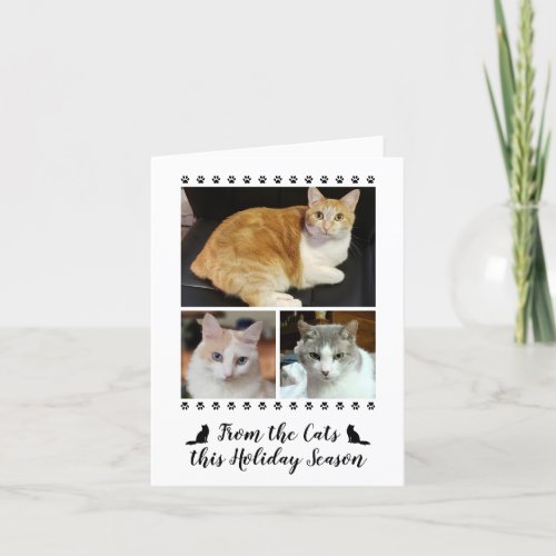 Funny 3 Photo Script From Cat Dog Pet Holiday Card