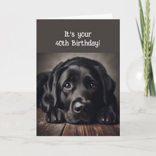 Funny 40th Birthday Labrador Retriever Card