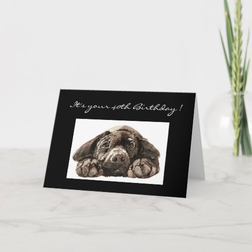 Funny 40th Birthday Labrador Retriever Card