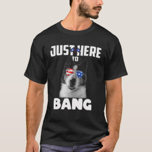 Funny 4Th Of July Akita Dog Just Here To Bang USA T-Shirt