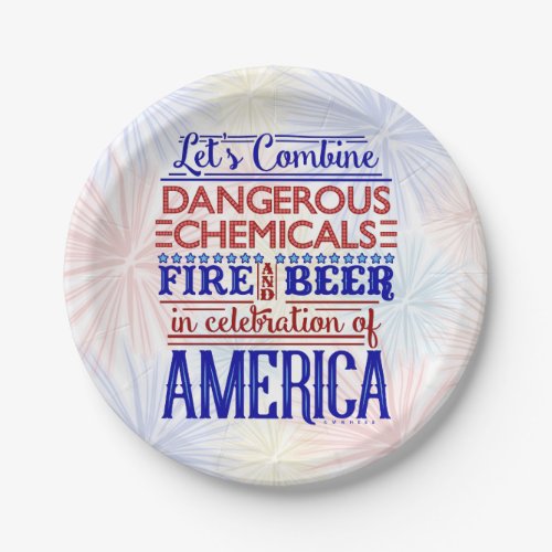 Funny 4th of July Fireworks Beer Joke  BBQ Party Paper Plates