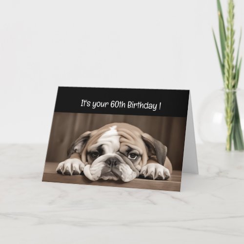 Funny 60th Birthday Cute Sad Dog Card