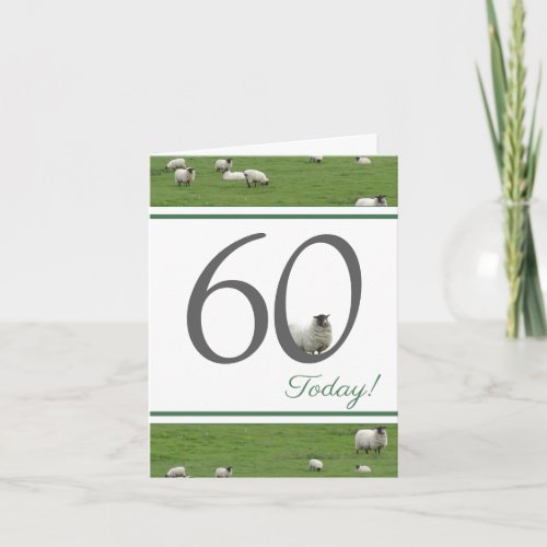Funny 60th birthday sheep card