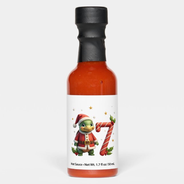 Funny 67 Meme Turtle Christmas PJm Men Women Famil Hot Sauces (Front)
