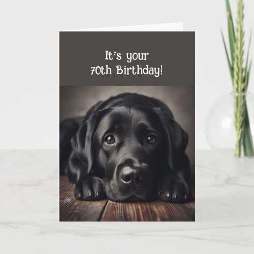 Funny 70th Birthday Labrador Retriever Card