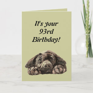 Funny 93rd Birthday Customize Labrador Retriever Card