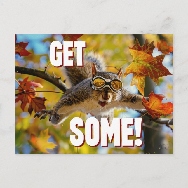 Funny Action Squirrel Postcard "Get Some"			 (Front)