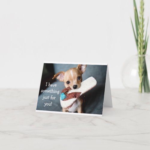 Funny adorable chihuahua dog birthday card