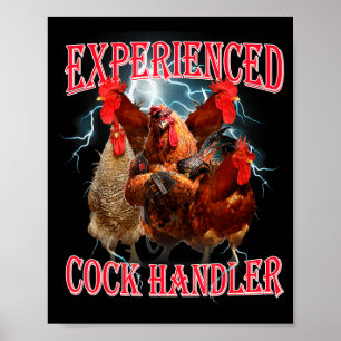 Funny Adult Humor Experienced Handler Inappropriat Poster