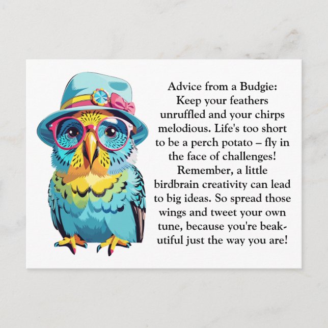 Funny Advice From A Budgie Postcard (Front)