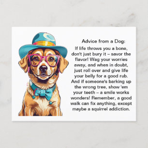Funny Advice From A Dog Postcard