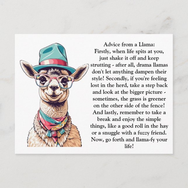 Funny Advice From A Llama Postcard (Front)