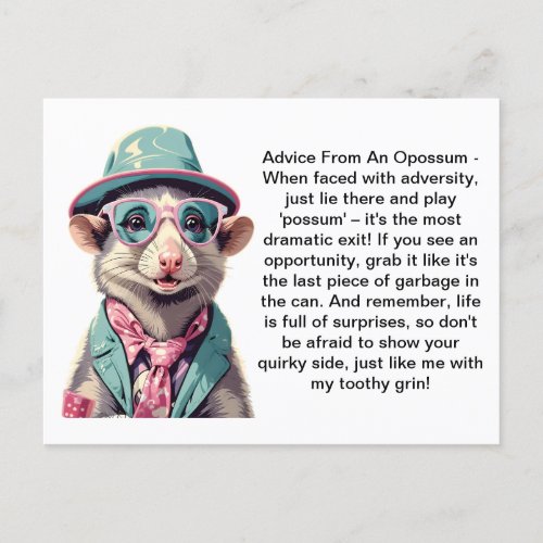 Funny Advice From An Opossum Postcard