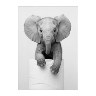 Funny Aesthetic Baby Elephant ToiletPaper Wildlife Acrylic Print