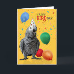 Funny African Grey Parrot Birthday Humor Card<br><div class="desc">A very cute African Grey parrot squawks; "Happy BIRDday" while surrounded with colorful balloons and confetti on a cheerful yellow background.</div>