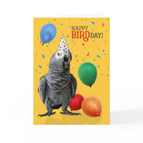 Funny African Grey Parrot Birthday Humor Card