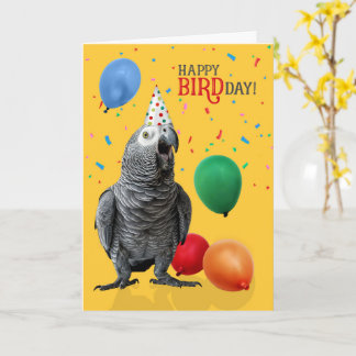 Funny African Grey Parrot Birthday Humor Card