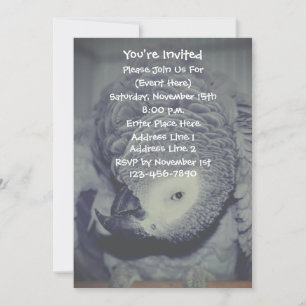 Funny African Grey Parrot Party Invitation