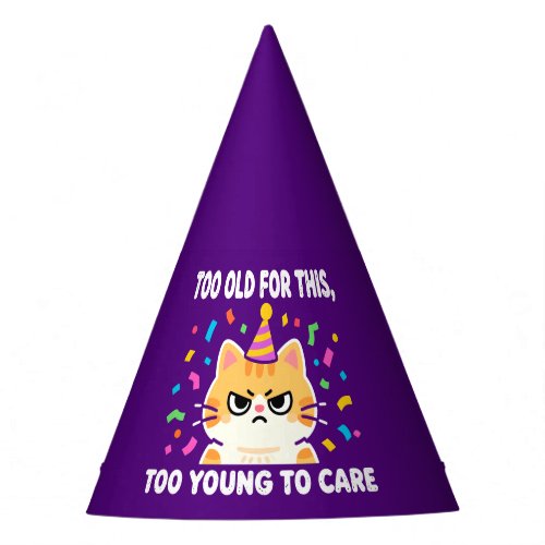 Funny Aging Birthday Party Party Hat