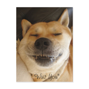 funny akita japanese type with cute smile love postcard