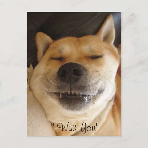 funny akita japanese type with cute smile love postcard