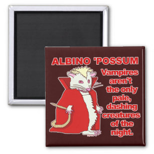 Funny Albino Possum Vampire Animal Magnet