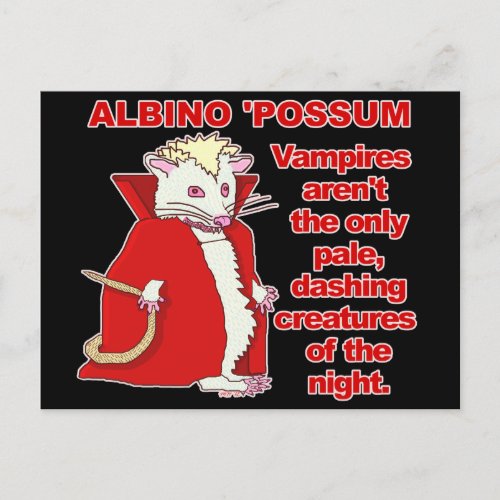 Funny Albino Possum Vampire Animal Postcard