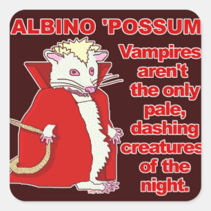 Funny Albino Possum Vampire Animal Square Sticker