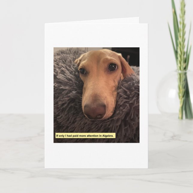 Funny Algebra Dachshund Card (Front)